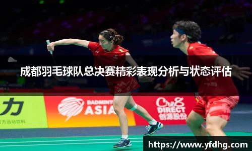 成都羽毛球队总决赛精彩表现分析与状态评估